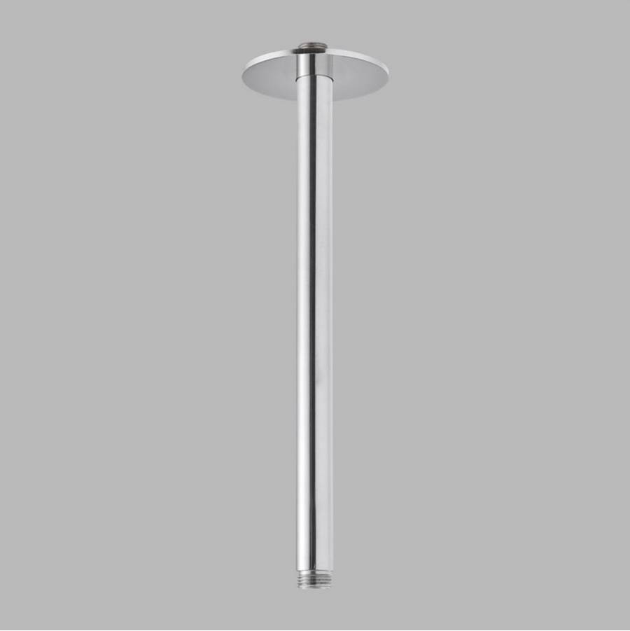 d line 300 mm 11 13/16'' Ceiling Shower Arm And Flange Polished Stainless